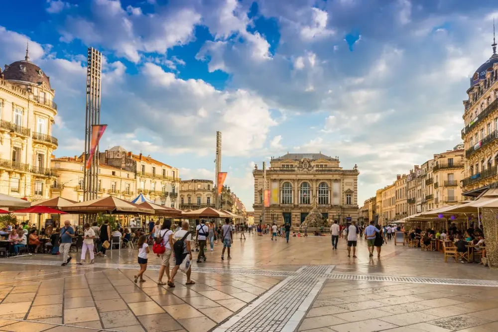 vistalid-agence-montpellier